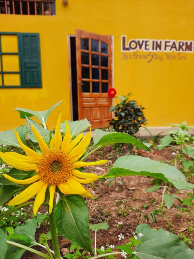 Xoi Farmstay - Eco Homestay Luc Yen Yen Bai المظهر الخارجي الصورة