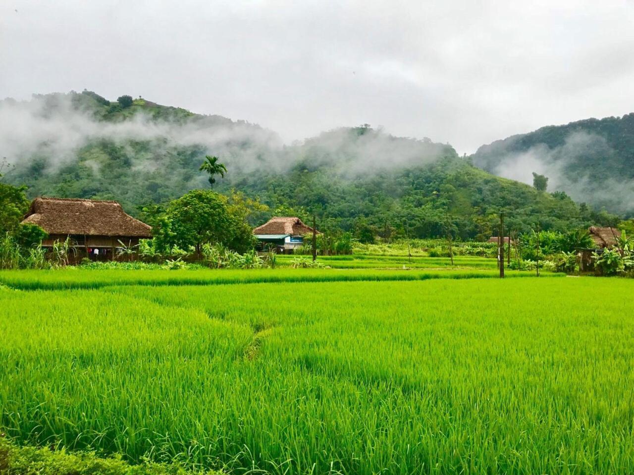 Xoi Farmstay - Eco Homestay Luc Yen Yen Bai المظهر الخارجي الصورة