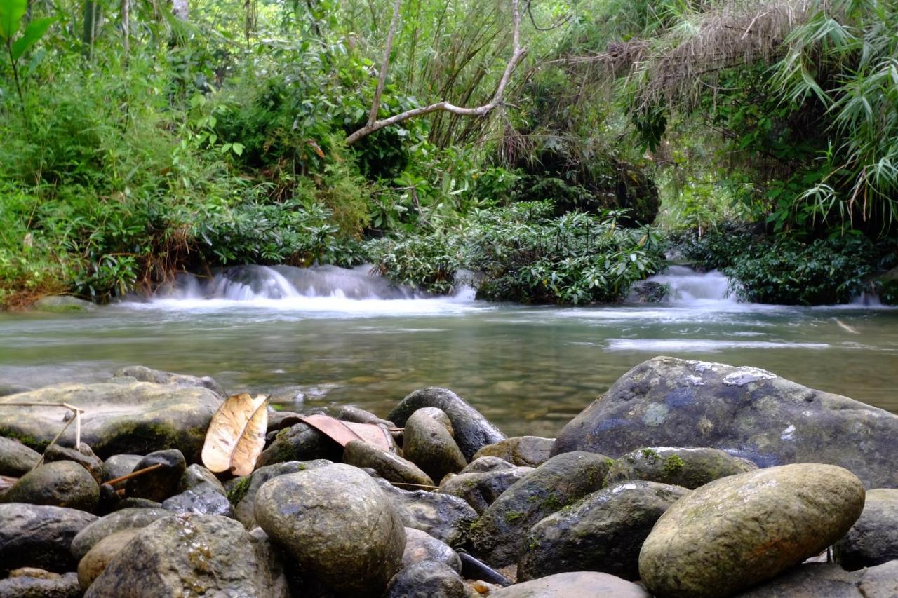 Xoi Farmstay - Eco Homestay Luc Yen Yen Bai المظهر الخارجي الصورة