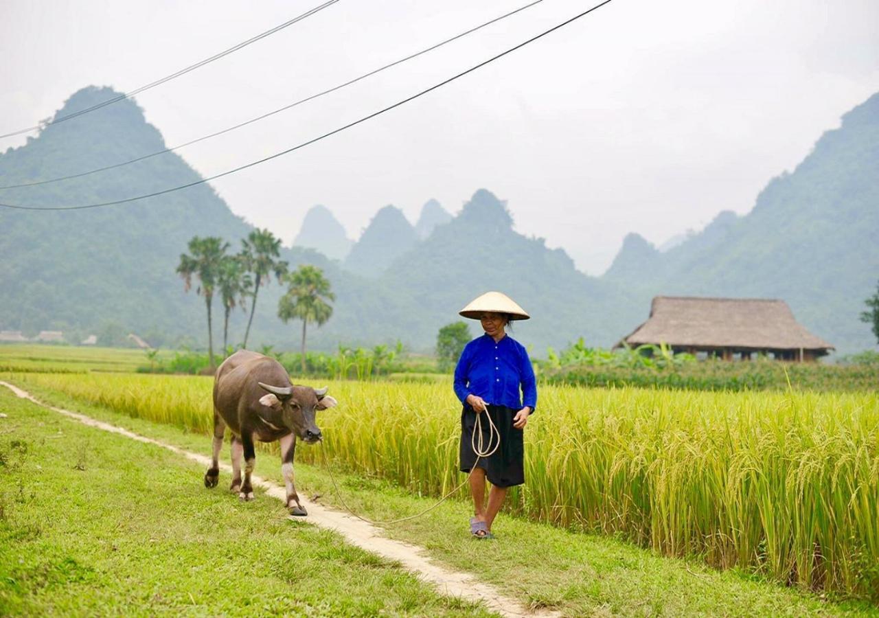 Xoi Farmstay - Eco Homestay Luc Yen Yen Bai المظهر الخارجي الصورة