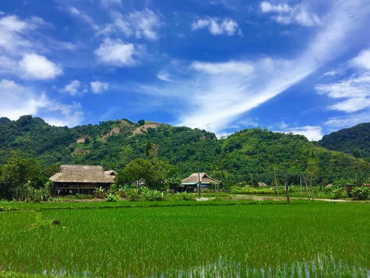 Xoi Farmstay - Eco Homestay Luc Yen Yen Bai المظهر الخارجي الصورة