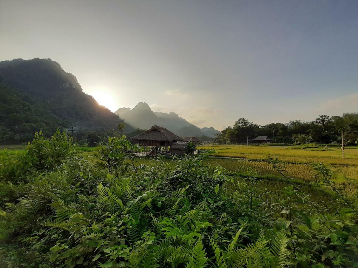 Xoi Farmstay - Eco Homestay Luc Yen Yen Bai المظهر الخارجي الصورة